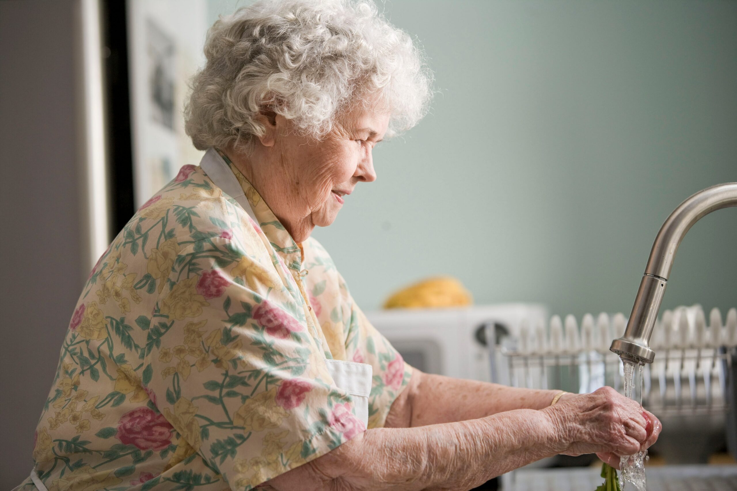 Home inspections for senior citizens